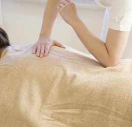 Massage thérapeutique qui tonifie et renforce l'énergie vitale, en prenant compte des méridiens et des points d'acupuncture.
