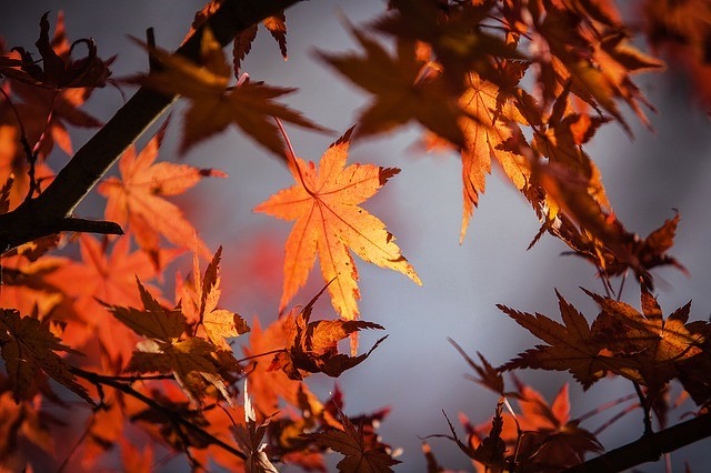 WEEK END AUTOMNE 