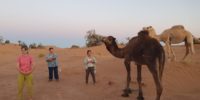 Nos compagnons de route