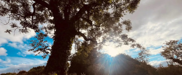 Stage au Cœur du Bocage Vendéen