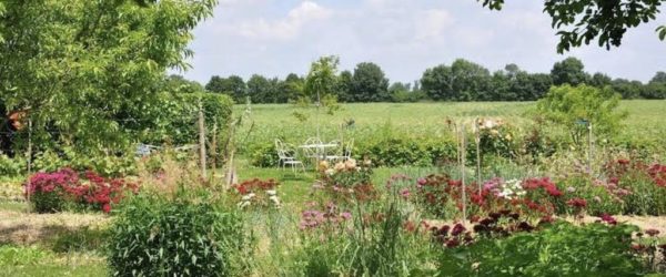 MARCHE DANS LA NATURE